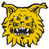 Ilves II Tampere U18 (Women)
