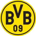 Borussia Dortmund (Profik)
