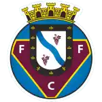 FC Felgueiras 1932