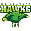 Mount Gravatt Hawks