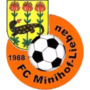 FC Minihof Liebenau