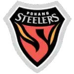 Pohang Steelers (nikkitta)