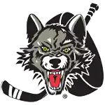 Чикаго Вульвс