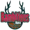 Bambitious Nara