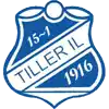 Tiller IL