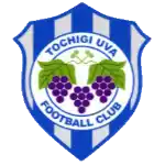 Tochigi City