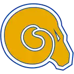 Олбани Стейт Голден Рэмз (жен)