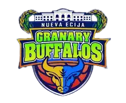 Нуэва-Эсиха Гранари Буффало