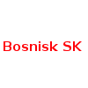 Bosnisk
