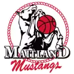 Maitland Mustangs