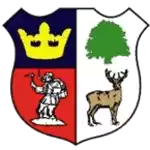 Cinderford Town