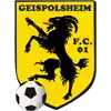 FC Geispolsheim 01