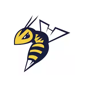 Edmonton Stingers