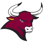 Colorado Mesa Mavericks