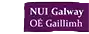 NUIG Mystics (Nữ)