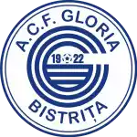 Đội bóng Gloria Bistrita