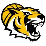 Тайгерс Тюбинген 