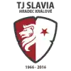 Hradec Kralove B