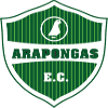 Arapongas Esporte Clube U19