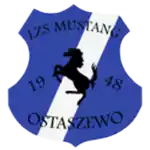 Mustang Ostaszewo