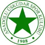 Anadolu Bagcilar Spor
