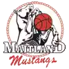 Maitland Mustangs (Nữ)