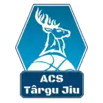 CSM Targu Jiu