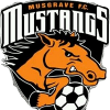 Musgrave Mustangs