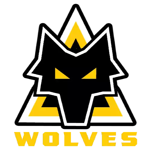 Đội bóng Arkansas Wolves