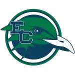 Endicott Gulls (Women)