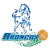 Hume City Broncos