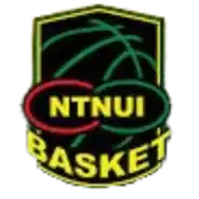 NTNUI Basket