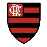 Фламенго РЖ 20 (жен)