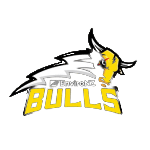 Canterbury Rams vs Hawke's Bay Hawks» Predictions, Odds, Live Score &  Streams