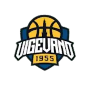 Нуова Паллаканестро Виджевано