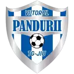 CS Pandurii Targu Jiu