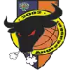 Angra Basket