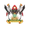 MUK Sparks (F)