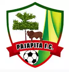 Pajapita