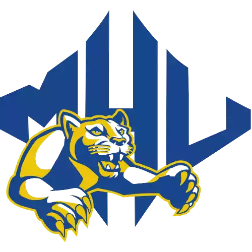 Mars Hill Lions