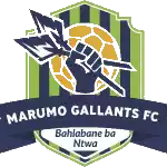 Marumo Gallants II