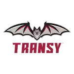 Những người tiên phong Transylvania