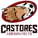 Castores Gobrantacto