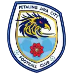 Petaling Jaya City