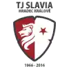Hradec Kralove