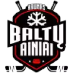 Kaunas City