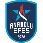Anadolu Efes (cyber)