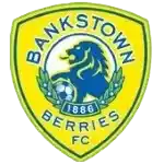 Canterbury Bankstown Berries U20