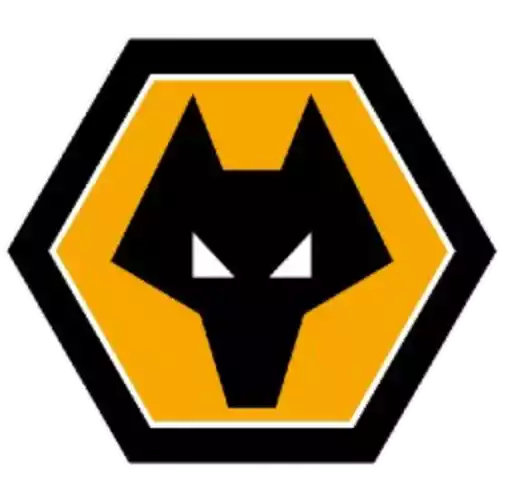 Wolverhampton Wanderers (bodyaoo)
