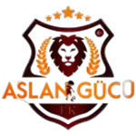 İstanbul Aslan Gucu Spor